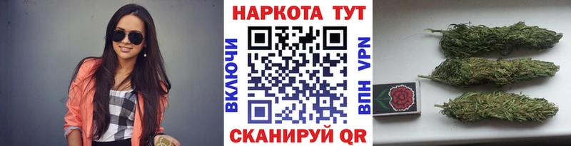 Как найти наркотики Суворов Конопля ГАШ