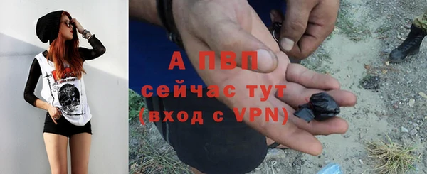 твердый Пролетарск