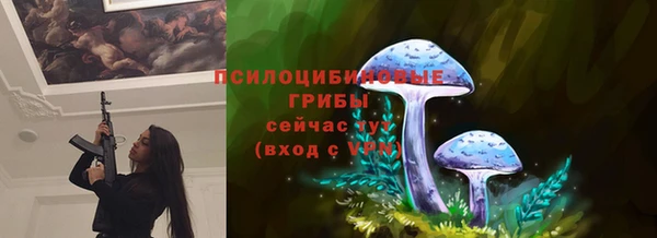 spice Дубна