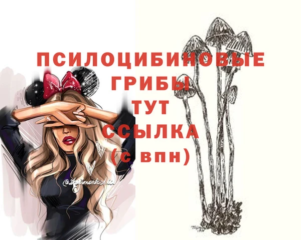 прущие крисы Приозерск