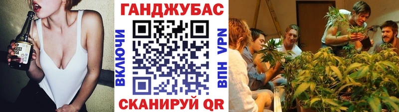 МАРИХУАНА гибрид  Суворов 
